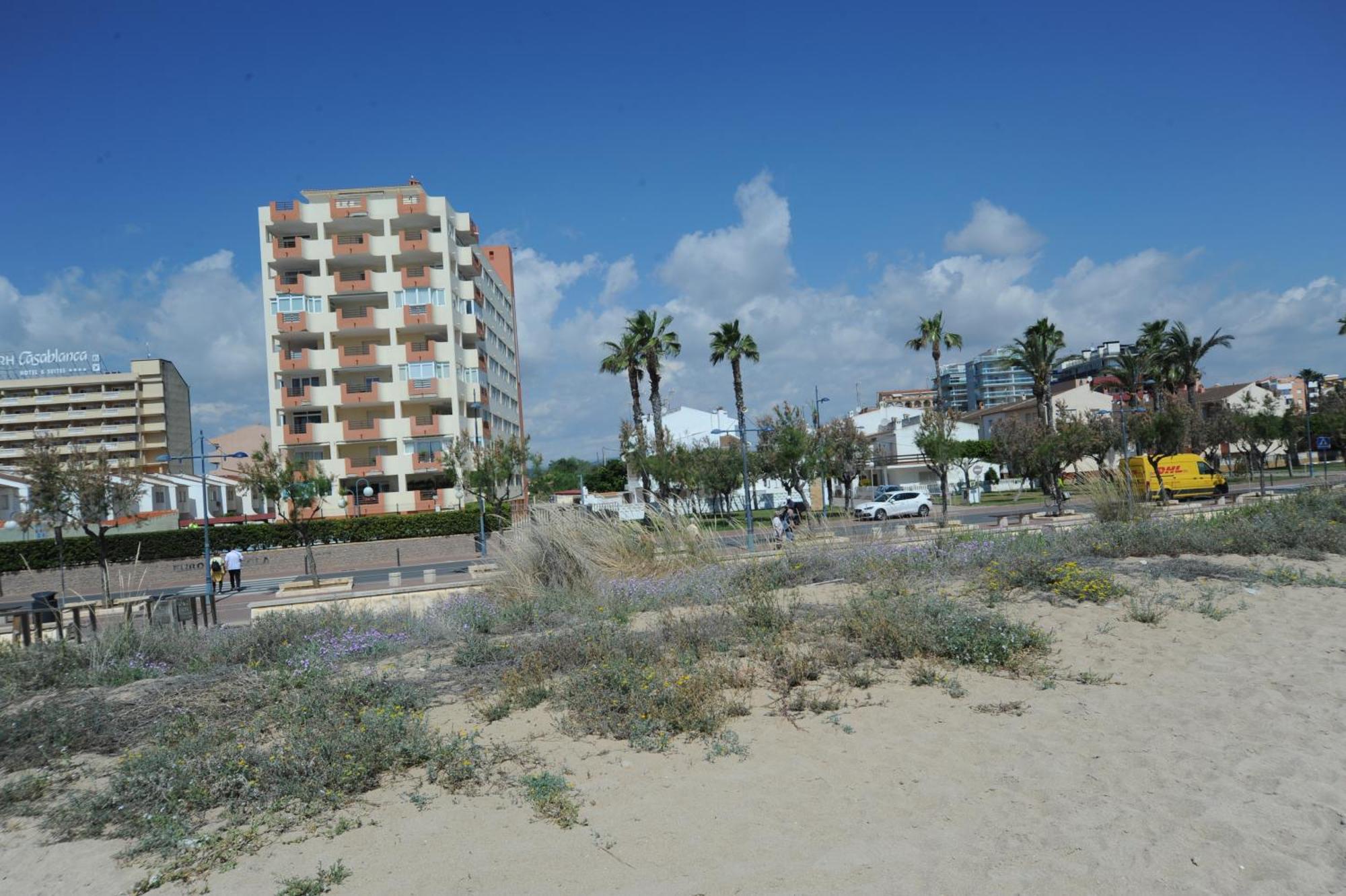 Apartamento Europeniscola Superior Orangecosta Exterior foto
